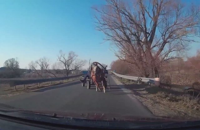 Ilyen, amikor szembe jön a lovasszekér
