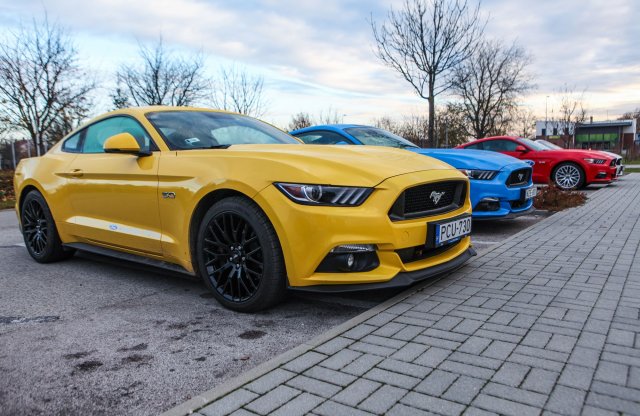 Nyolchengeres lóháton, országszerte jóáron