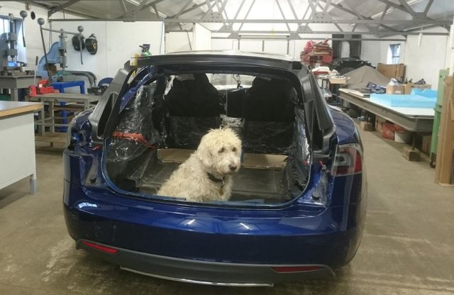 Kutyák miatt született meg a kombi Tesla Model S